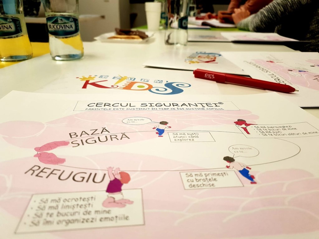 Black Friday: 35% reducere la Cursul intensiv „Cercul Siguranței” de 4&nbsp;săptămâni