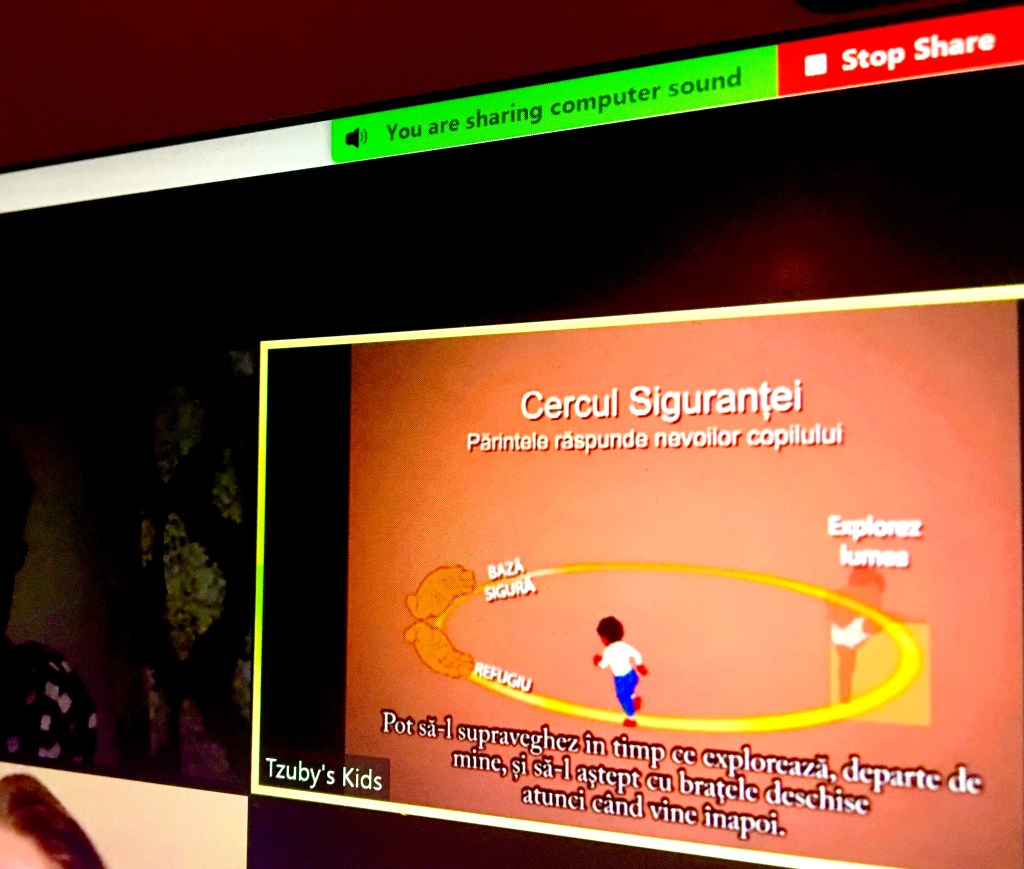 Cusul Cercul Siguranței – pentru prima dată oferit online prin Academia de Training Tzuby’s&nbsp;Kids